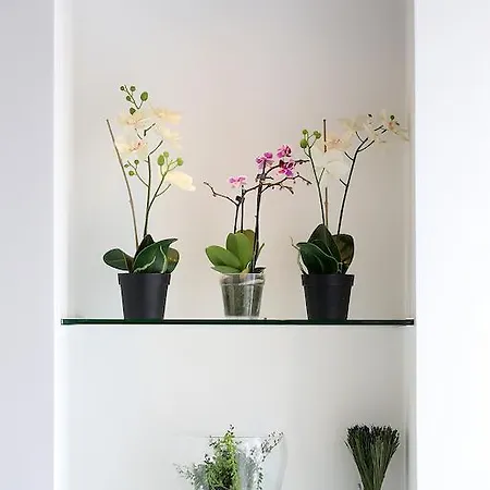 Deluxe Santa Lucia * ザダル