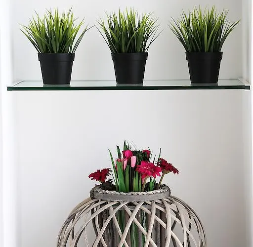 Deluxe Santa Lucia * Zara