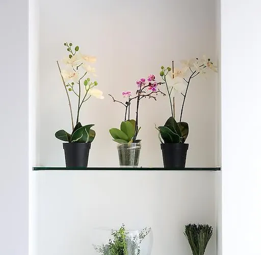 Deluxe Santa Lucia * Zara